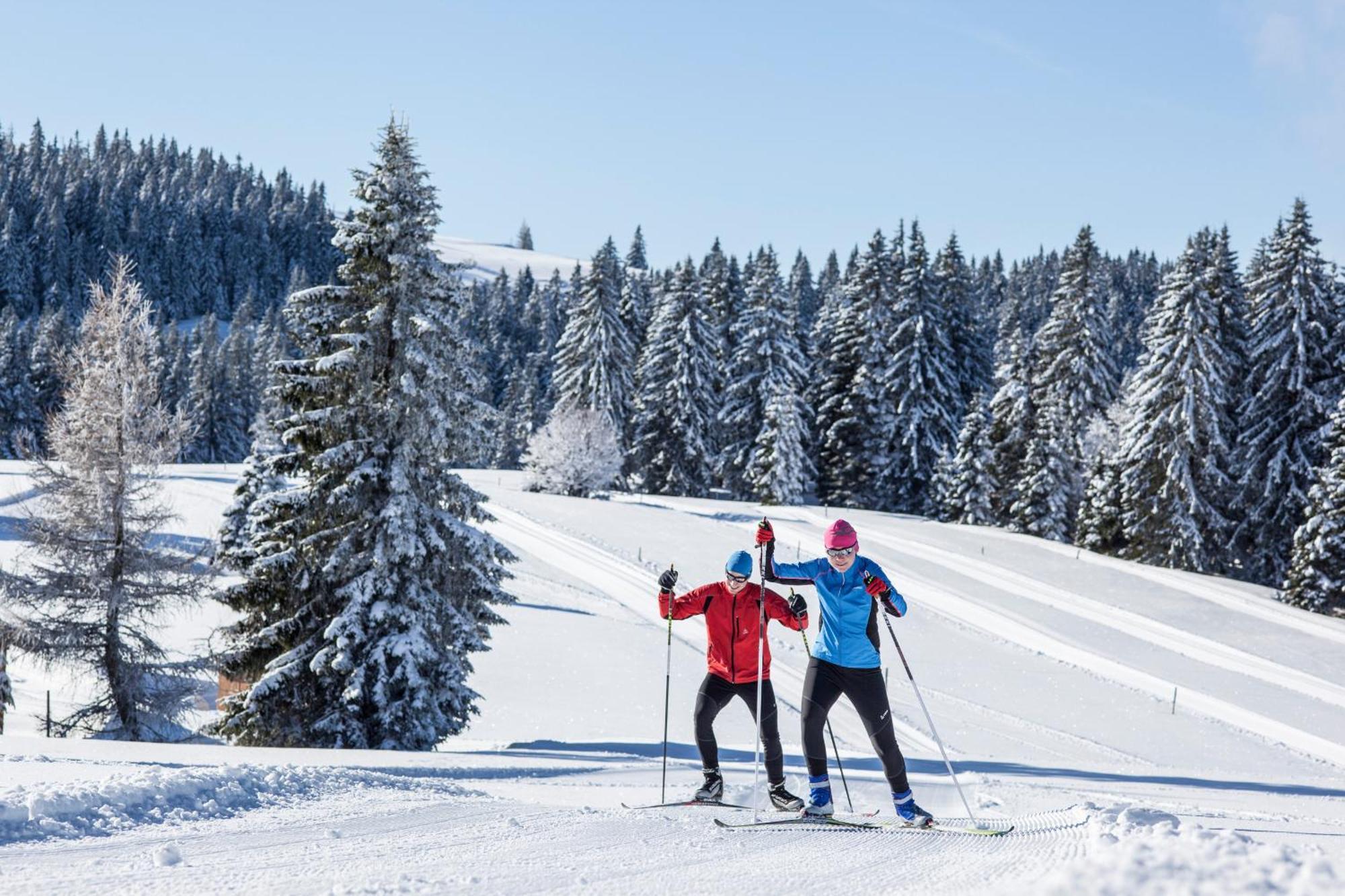 Ferienwohnung Seeblick Nr 5, 2 Zi-Baerental, Feldberg Rotwasser Eksteriør billede