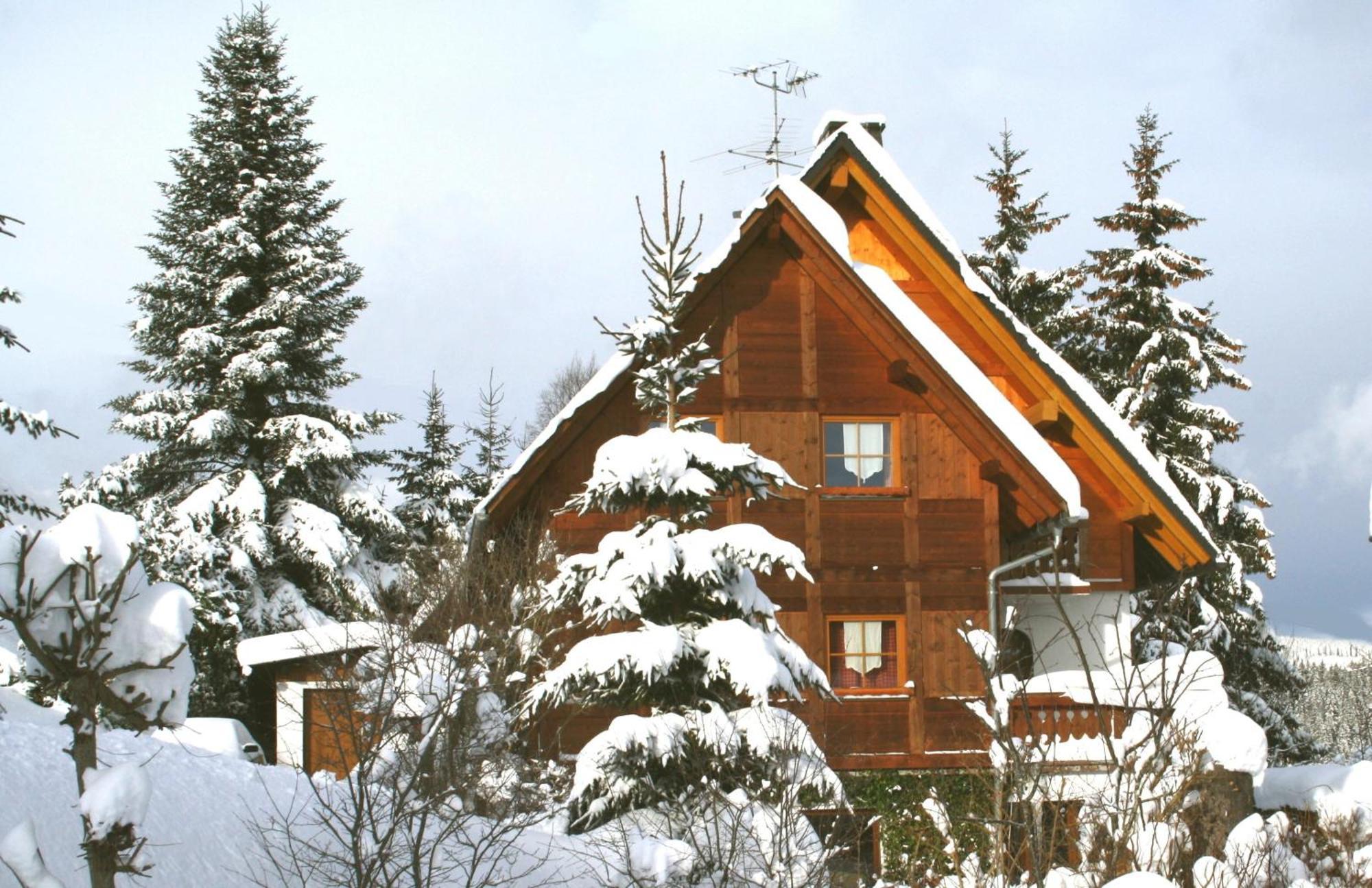 Ferienwohnung Seeblick Nr 5, 2 Zi-Baerental, Feldberg Rotwasser Eksteriør billede