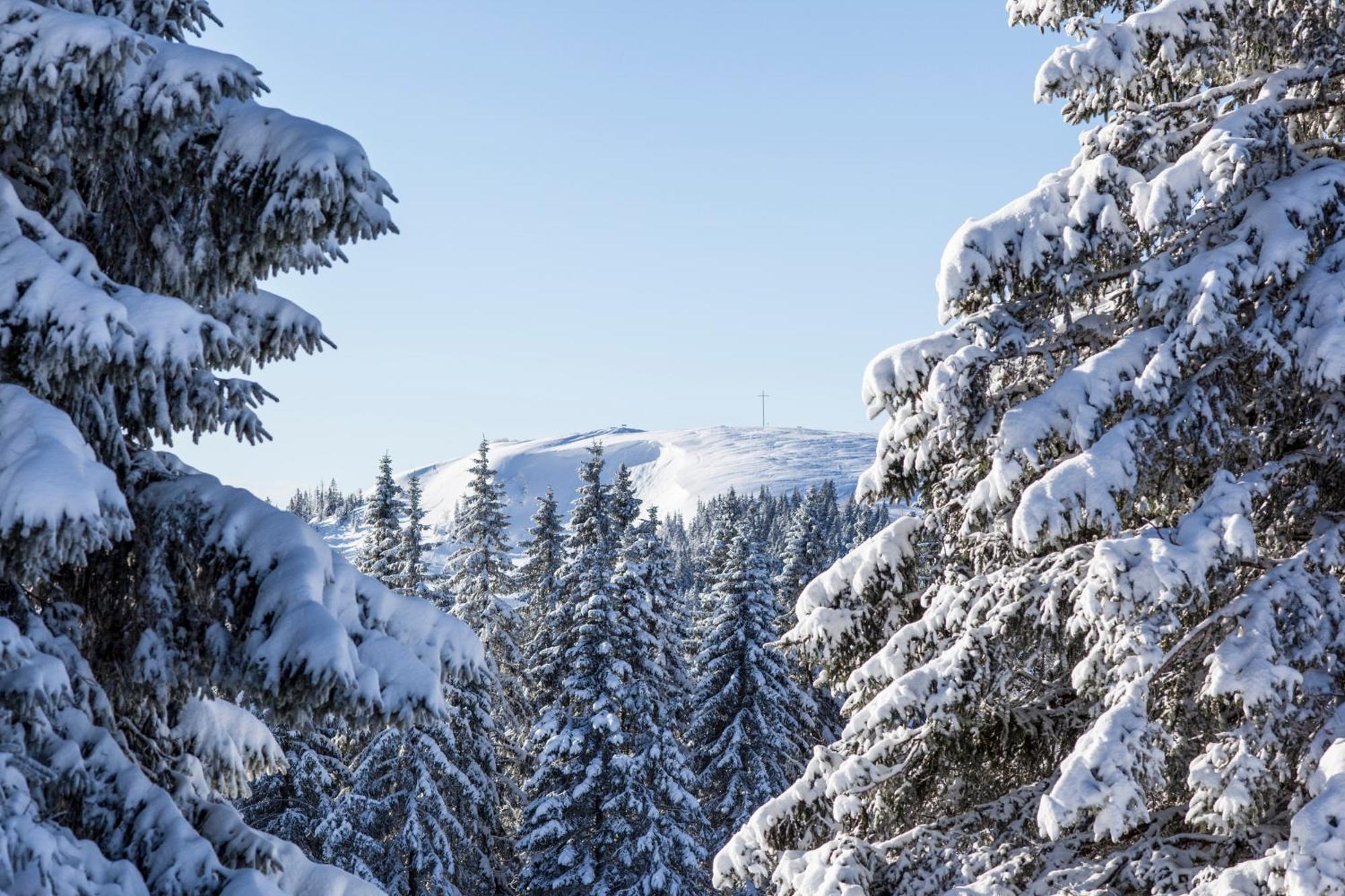 Ferienwohnung Seeblick Nr 5, 2 Zi-Baerental, Feldberg Rotwasser Eksteriør billede