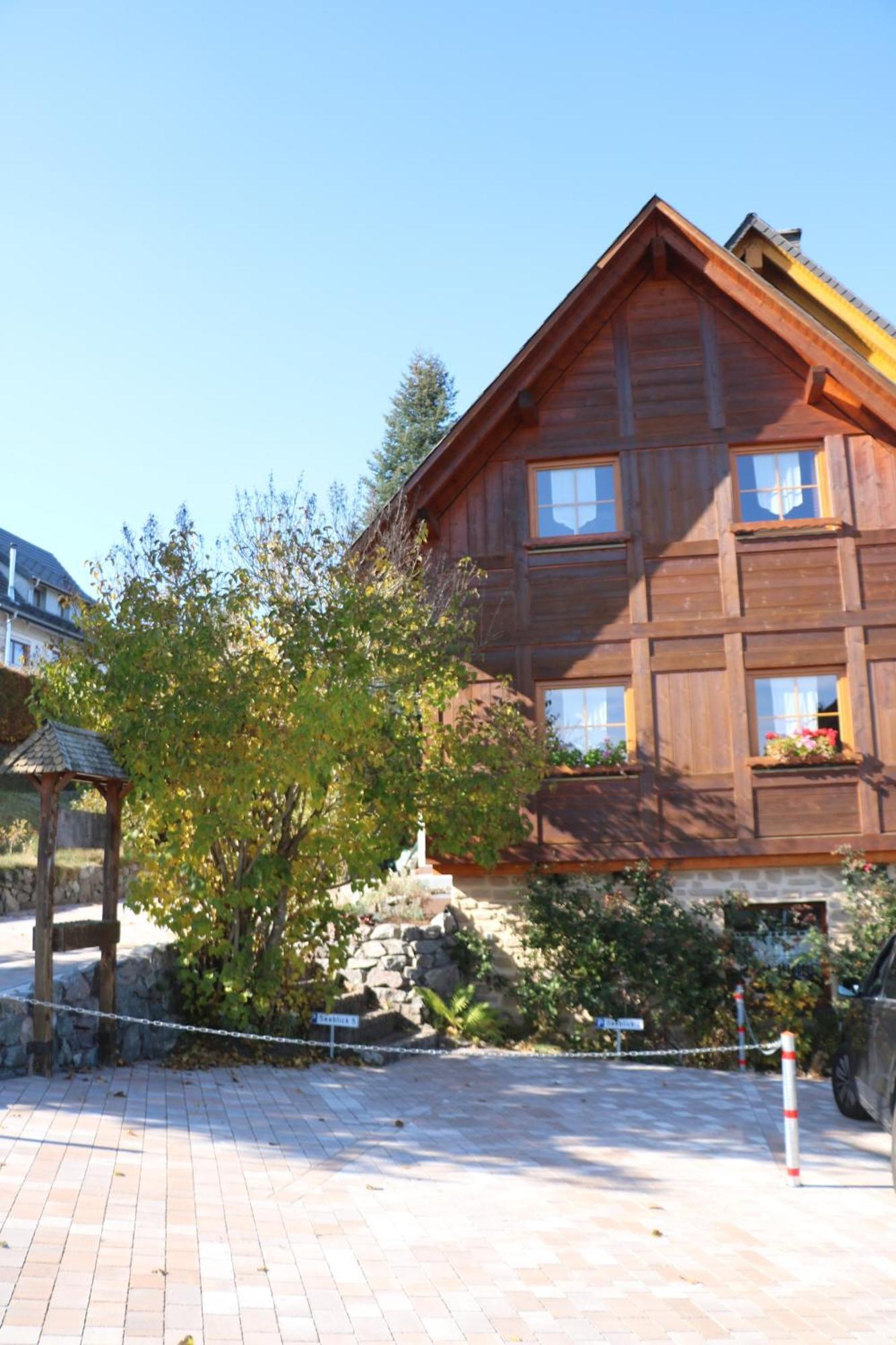 Ferienwohnung Seeblick Nr 5, 2 Zi-Baerental, Feldberg Rotwasser Eksteriør billede