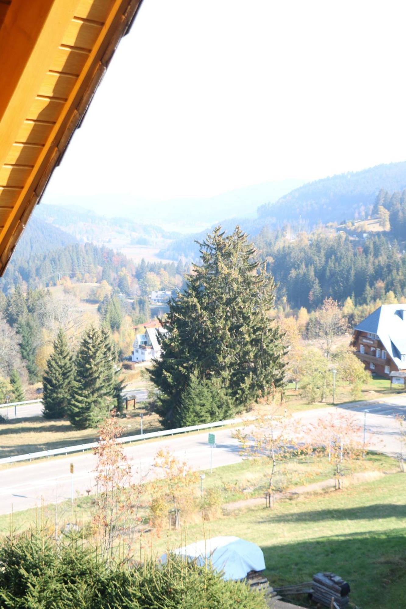 Ferienwohnung Seeblick Nr 5, 2 Zi-Baerental, Feldberg Rotwasser Eksteriør billede