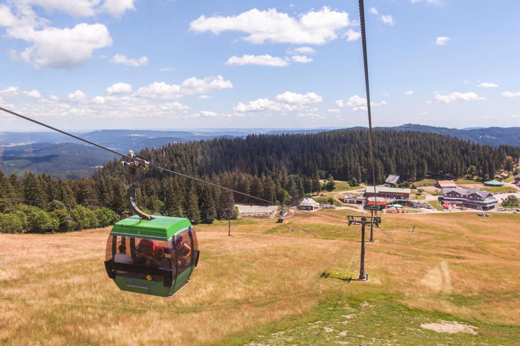 Ferienwohnung Seeblick Nr 5, 2 Zi-Baerental, Feldberg Rotwasser Eksteriør billede
