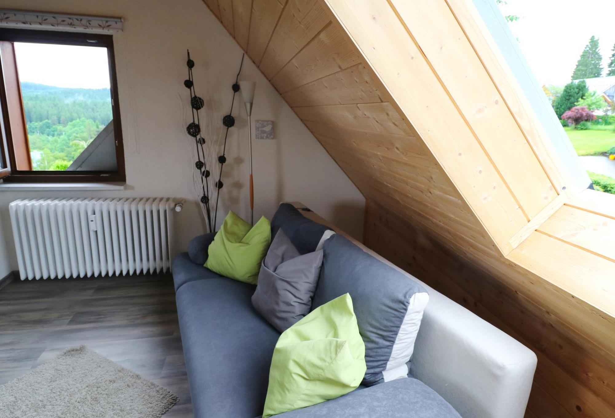 Ferienwohnung Seeblick Nr 5, 2 Zi-Baerental, Feldberg Rotwasser Eksteriør billede